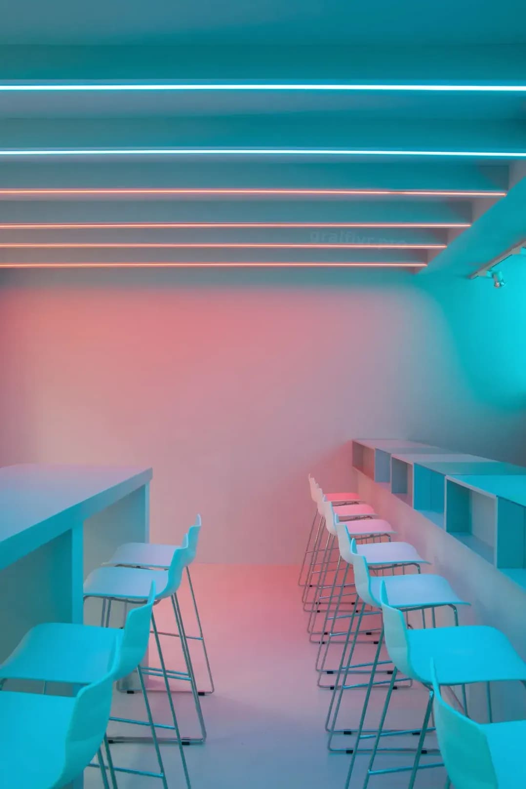 gralflyr.pro 11
